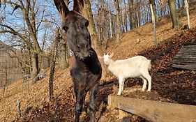 Iduevagamondi - Ospitalita Rurale Famigliare Di Montagna